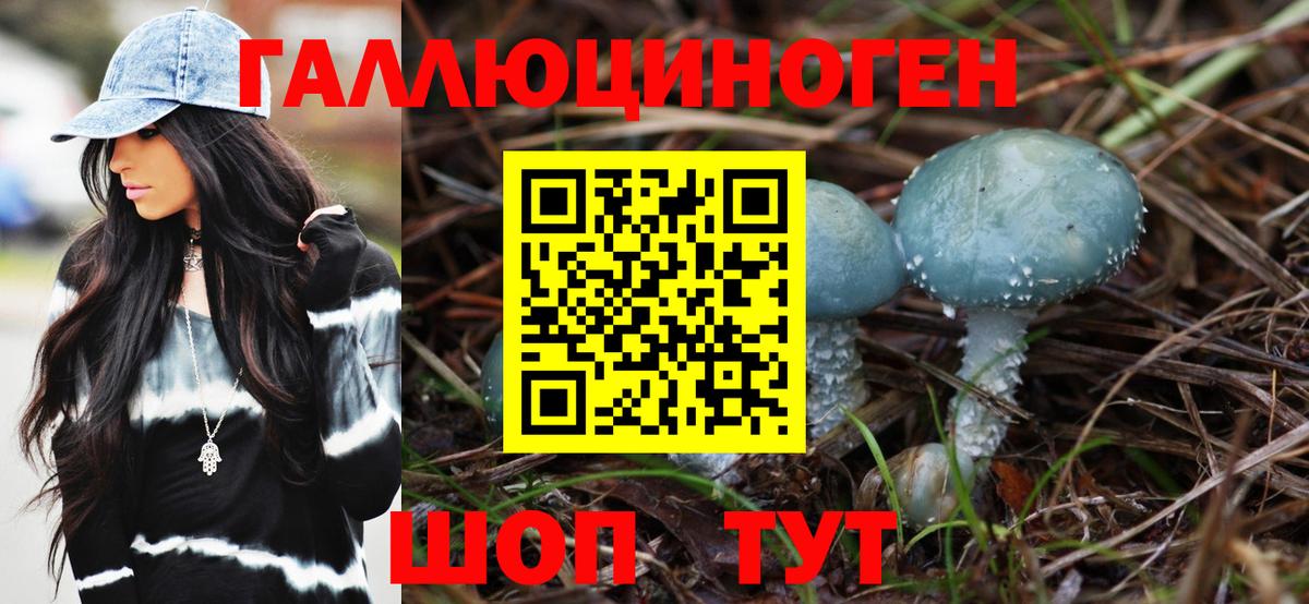 Псилоцибиновые грибы мицелий  Вход с VPN  Ейск 