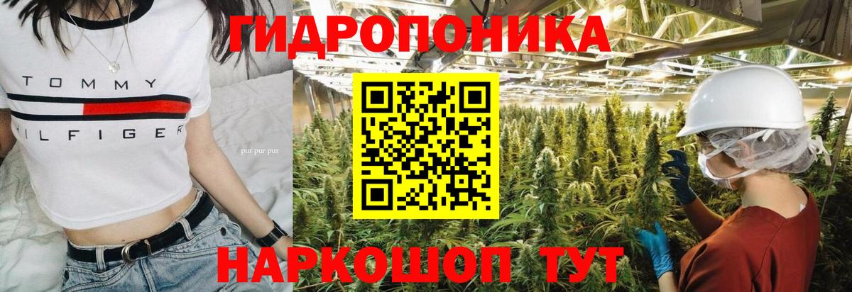APVP Ейск